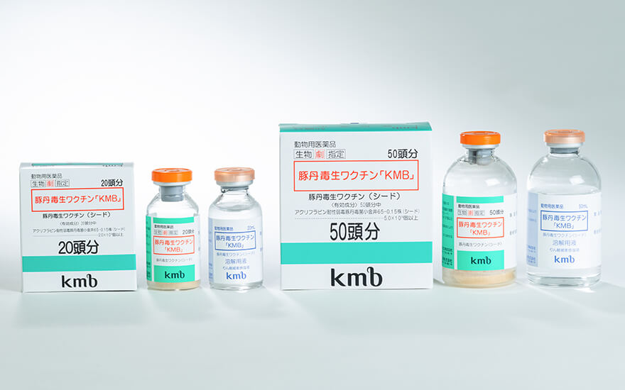 豚丹毒生ワクチン「KMB」